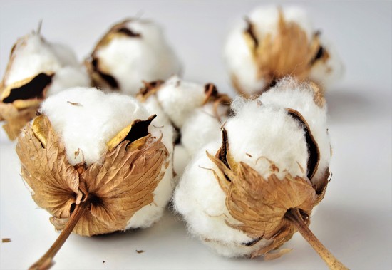 Viszlát olcsó pamutruhák? Ilyen hatással van a klímaváltozás a gyapottermesztésre