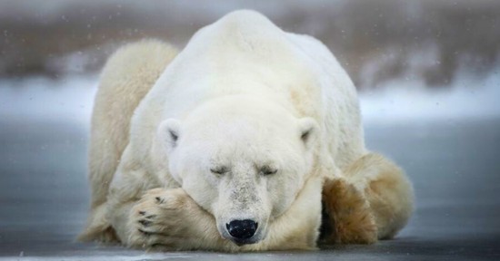 Szeretnél végre JÓL aludni? A kulcs: a melatonin - a dietetikus elmagyarázza, miért!