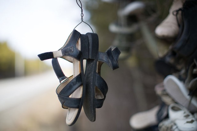 Patty Maher Photography