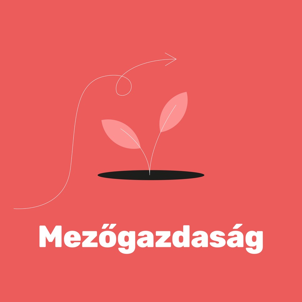 Így lesz az adatokból kézzelfogható társadalmi-gazdasági haszon: éghajlati szolgáltatások