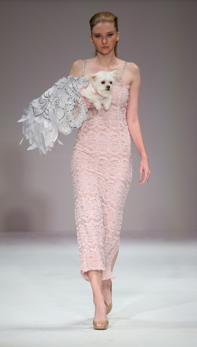 Ne maradj le a jótékonysági divatbemutatóról örökbefogadható kutyákkal a kifutón