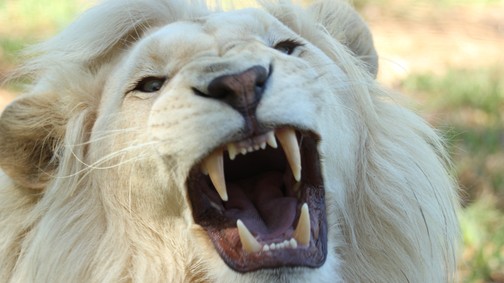 Apróságon csúszik el a fogaid egészsége