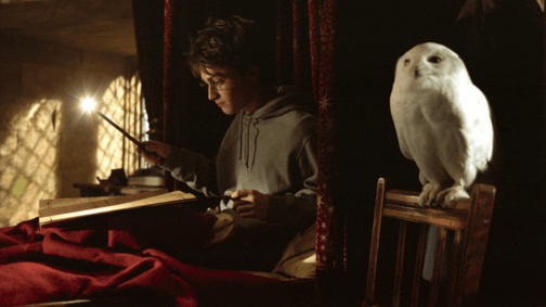 Mit keres Harry Potter a magyar oktatásban és a Google céges kultúrájában? Nagyon is sokat!