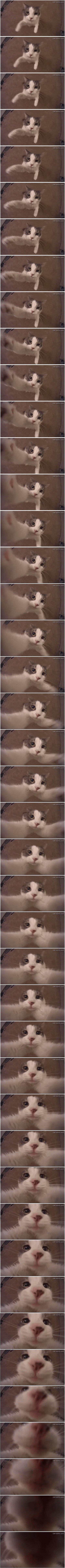 5 dolog, amit soha ne csinálj egy videokonferencián