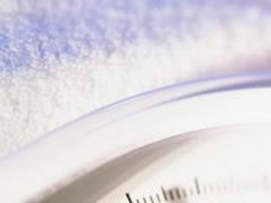 Fogyókúra számokban