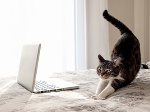 Jó nekünk a home office?