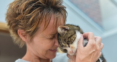 13 év után látta újra gazdáját ez a cica, a reakciójától pedig te is elsírod magad