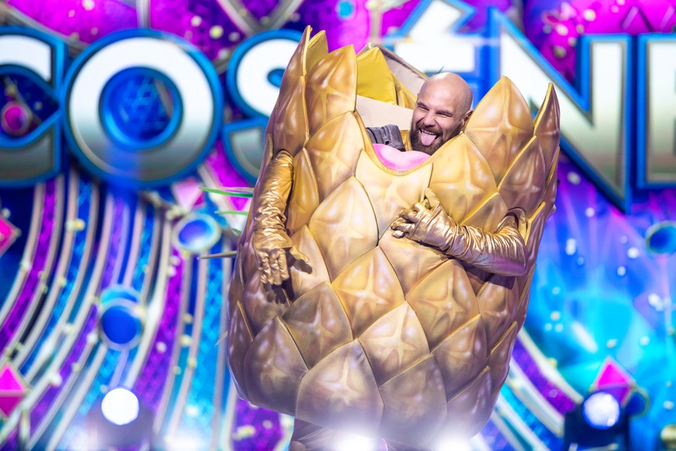 Kocsis Tibor énekest rejtette az Ananász jelmez