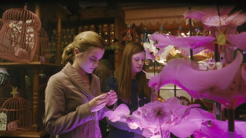 A társadalom eldöntötte, mi fiús és mi lányos, Hermione pedig jött, és rácáfolt