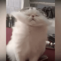 Ez az 5 legkoszosabb dolog az irodában, amitől beteg lehetsz