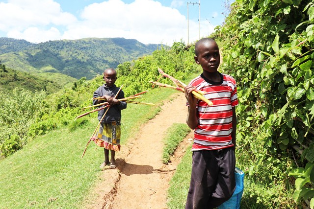 A gyerekeknek messzire kell iskolába menni, a kórházak szintén távol vannak és drágák