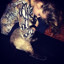 Imádjuk a cicákat, a cicás sztárokat pedig még jobban!