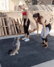 Délelőtt, vagy este érdemes edzeni?