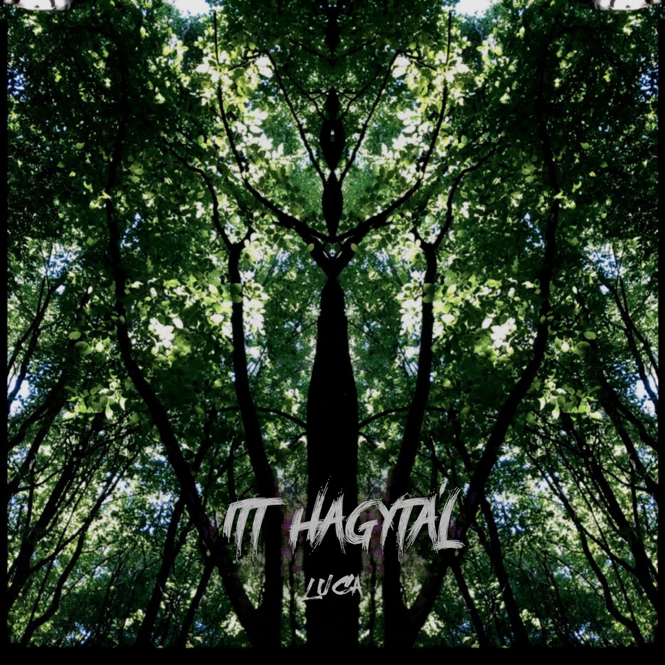 Luca Itt hagytál című dala az első olyan, ahol az énekesnő azt érezte, pontosan tudta kifejezni egy dallal az érzéseit