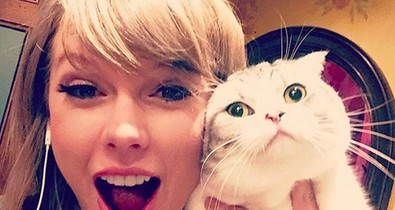 Ők a hírességek legcukibb házikedvencei