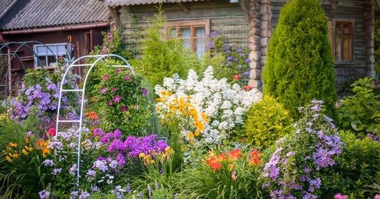 Felejtsd el a muskátlit! 2026-ban ezek a növények lesznek a kertek legszebb díszei