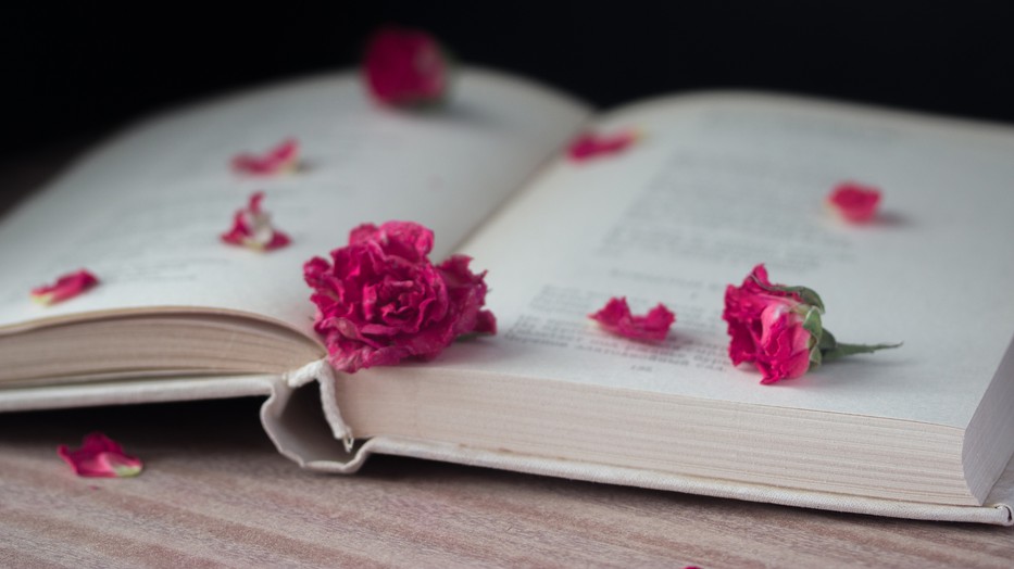 Teszteld le a tudásod!