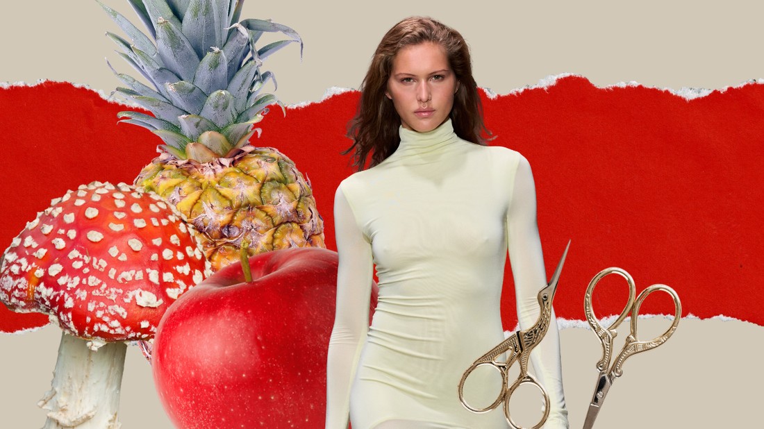 A növényi alapú bőralternatívák iránt egyre csak nő a kereslet