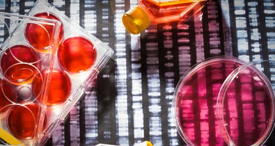 Daganatos sejtek nap, mint nap