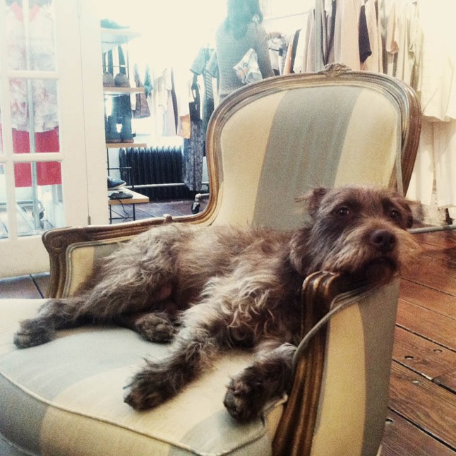 Nanushka Sándor Szandra