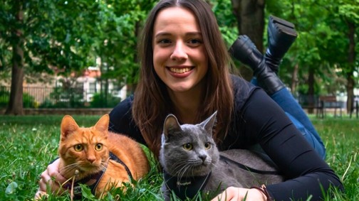 A macskák szerepe a mentális egészség megőrzésében