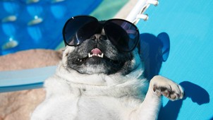 Szakértő orvost kérdeztünk: meddig tart ki a nyáron begyűjtött D-vitamin?