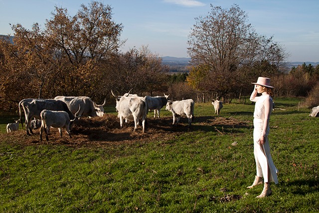 Vissza a természetbe!