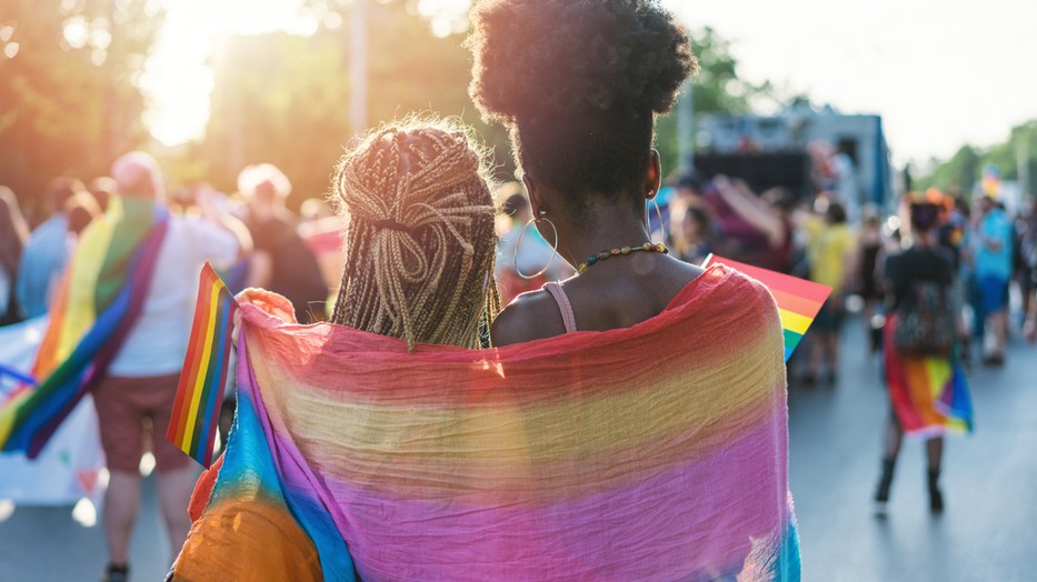 Az EL*C célja, hogy a leszbikus nők a mainstreem politikai diskurzus részévé váljanak