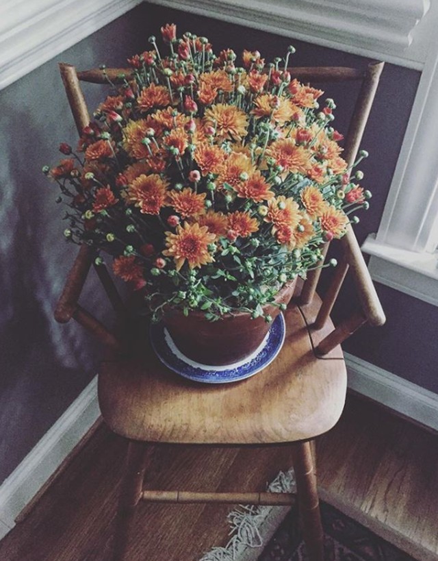 10 őszi dekoráció, ami nem hiányozhat a lakásodból