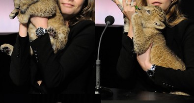 Nem lesz cukibb! Cara Delevingne és a bébi oroszlán