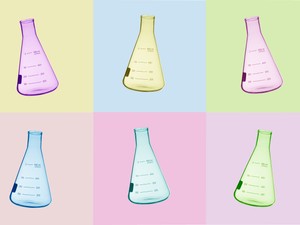 Két magyar nő találmánya vethet véget a műanyagok uralmának: Poliloop, a műanyaglebontó baktériumkoktél