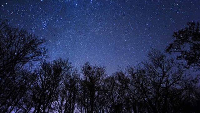 Itt az Újhold, és vonzza a sikereket