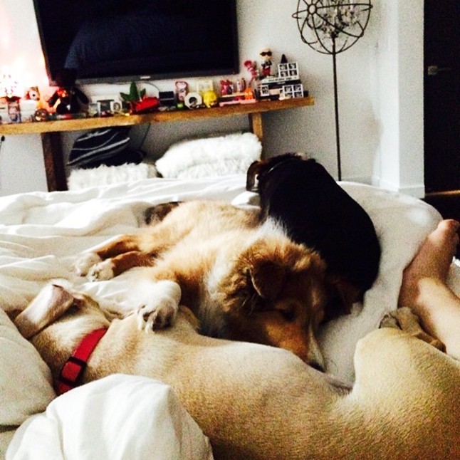 Ki ne szeretne ilyen cukiságokkal együtt ébredni?