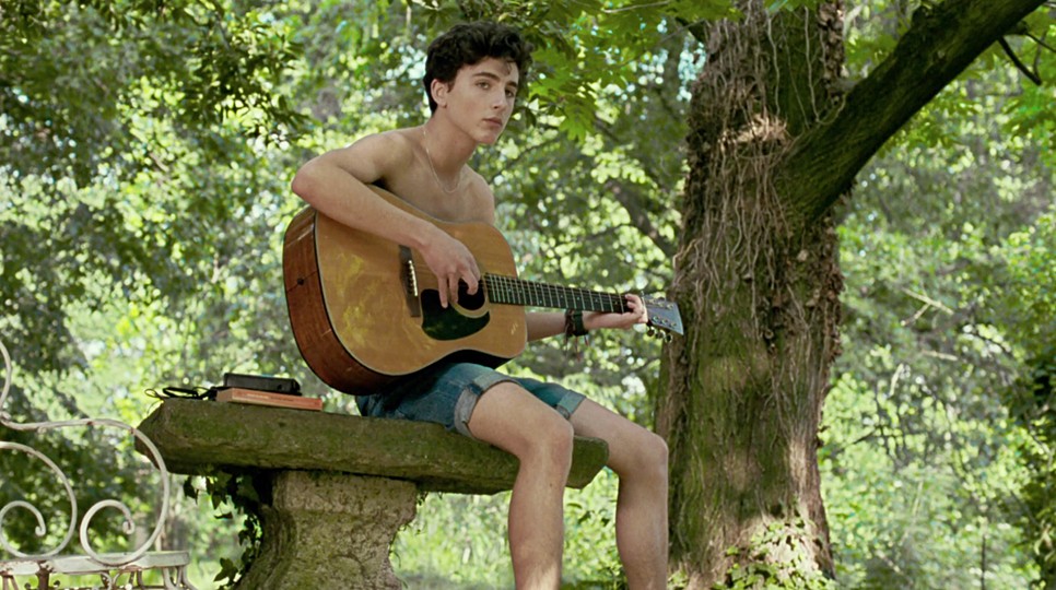 Timothée Chalamet a Szólíts a neveden című filmmel tette fel magát a térképre 