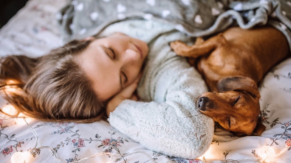Szakértők árulták el, tanácsos-e kutyával aludni éjszakánként