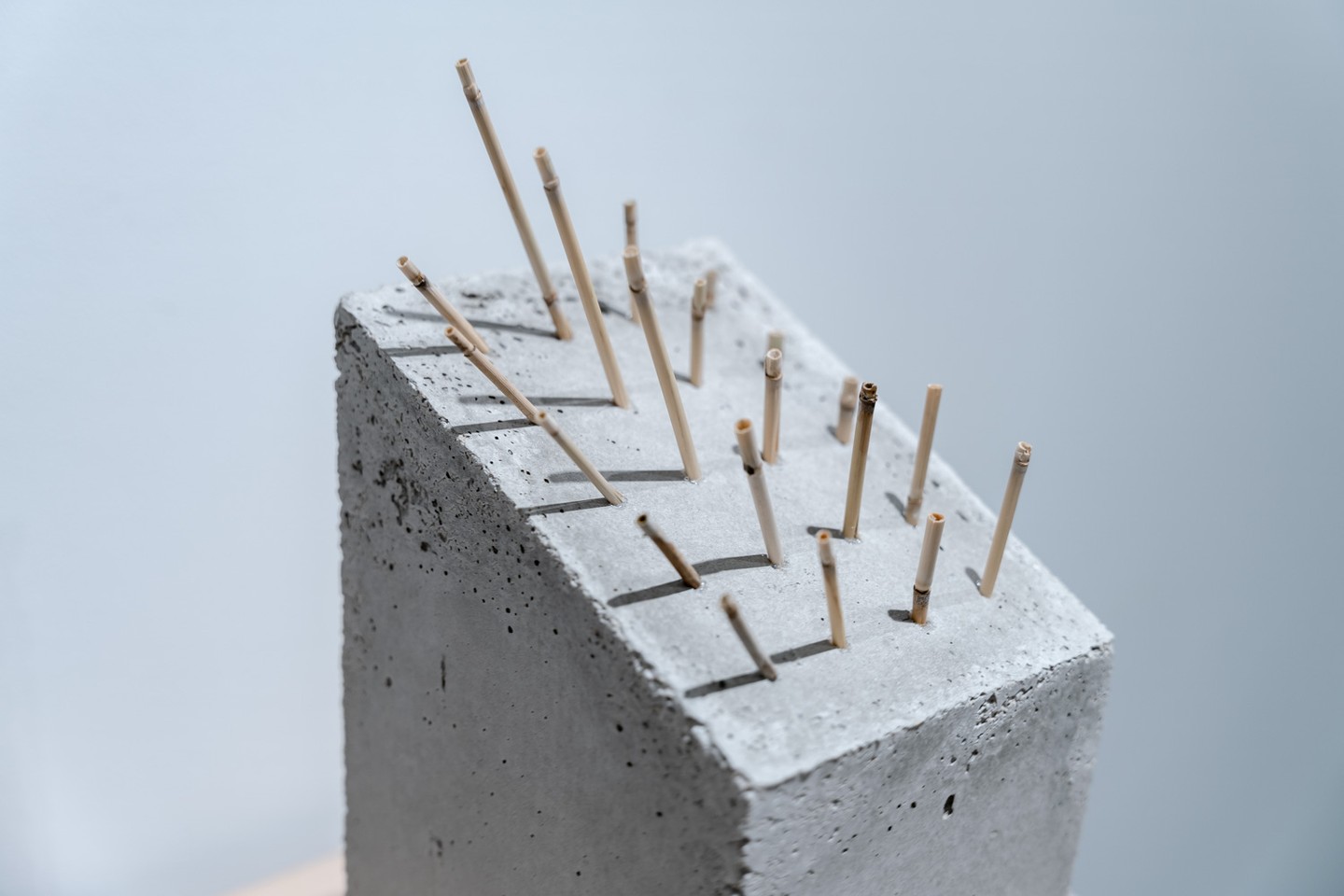 Mome Adatvizualizáció- Darab Zsuzsa