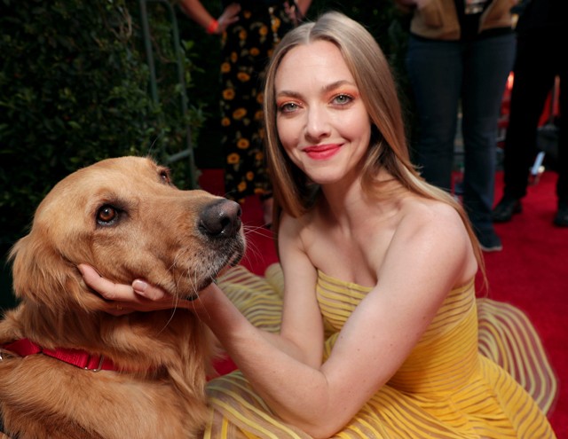 Nincs ennél édesebb: Amanda Seyfried kutyusokkal pózol a vörös szőnyegen