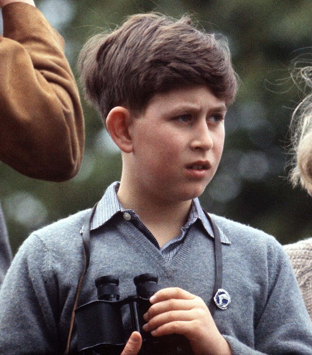 Talán ma annyira nem szembetűnő, de gyerekkori fotóin lehet látni, hogy fiai, Harry és Vilmos nagyon is hasonlítanak az apukájukra, Károly hercegre