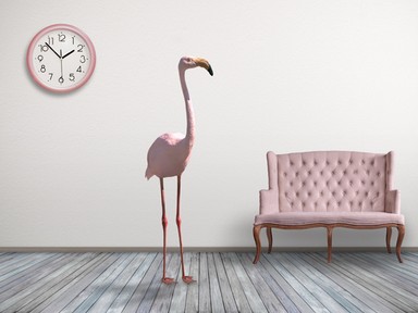 Tavaszi csicsergés - A legcukibb madaras dekorációk, amik nem hiányozhatnak lakásodból