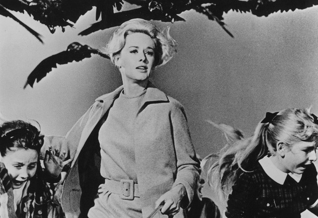 Tippi Hedren a Madarak című filmben