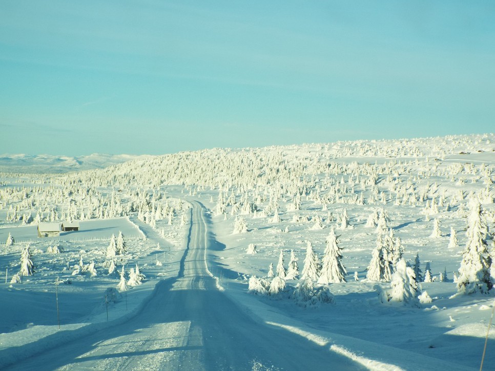 Ez az út vezetett a norvég lakhelyéhez – gyalog két és fél óra volt az első falu, stoppolni elméletben lehetett, de gyakorlatban ritka volt a jármű