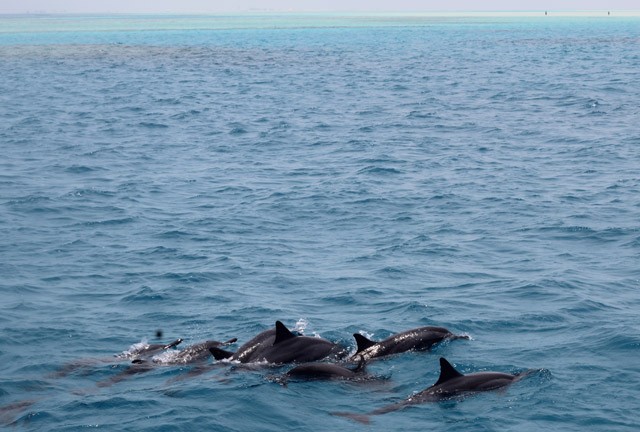 Így hozz ki egy Maldív-szigeteki utazást egy európai út árából