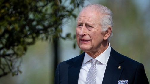 A palota közleményt adott ki: Károly király kemény mondattal reagált Harry herceg interjújára