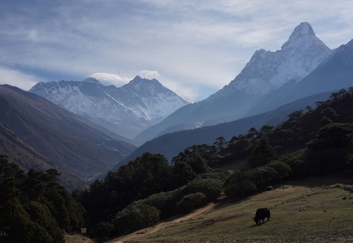 Komfortzónán túl: határok feszegetése a legzordabb körülmények között