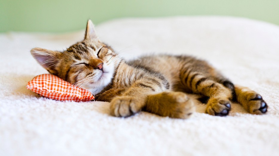 Ez a módszer segíthet visszaaludni az éjszaka közepén