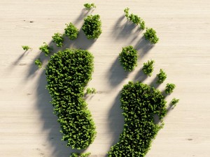 Tippek a hétköznapokra: így csökkentsd az ökológiai lábnyomod!