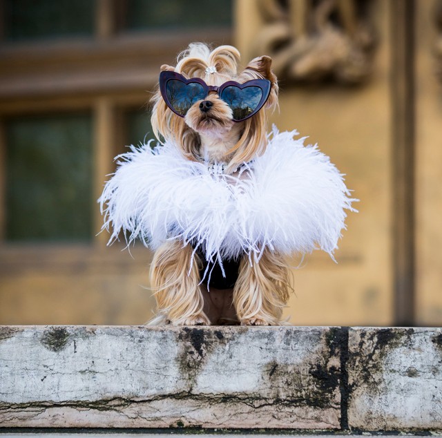 Stílustippek a hideg napokra: Így öltözködj, ha odakint fagyos az idő