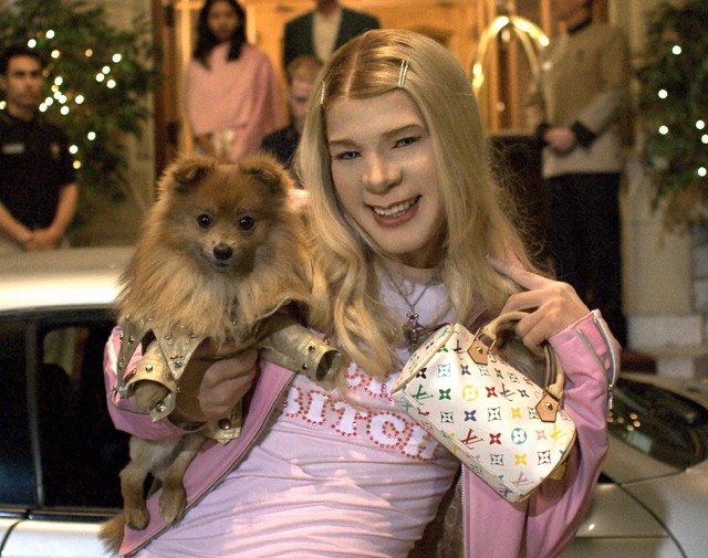 7 tévhit a házikedvenceinkről, amit érdemes tudni