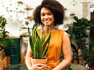 Kvíz: te képes lennél életben tartani egy növényt? 10 kérdés és kiderül