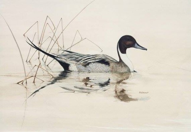 Imádni fogod! Íme a Celeni varázslatos kollekciója